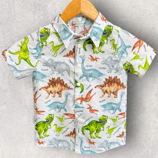 3T Dinosaur Shirt